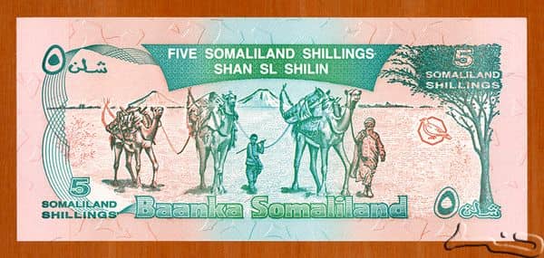 5 Shillings