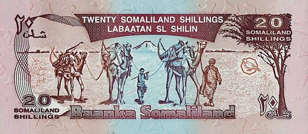 20 Shillings