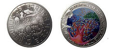 3 euro (Nudibranch Doridididae)