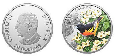 20 dollars (Oriolo de Baltimore)