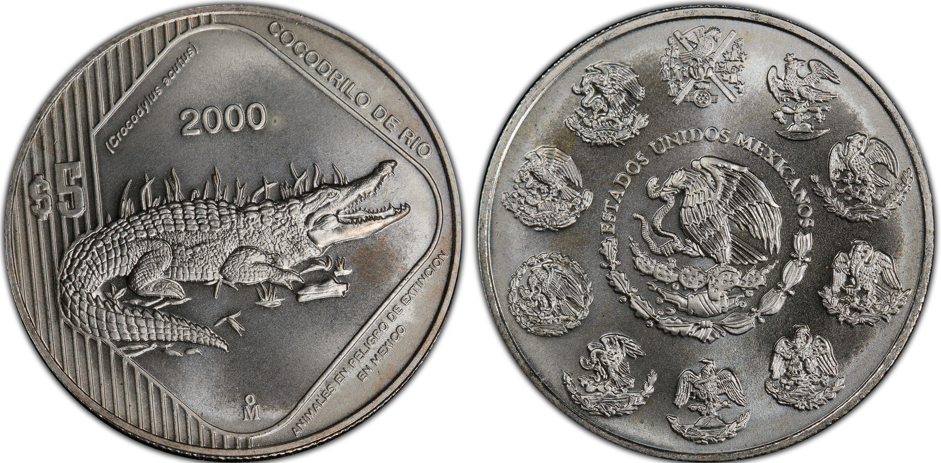 5 pesos (River crocodile)