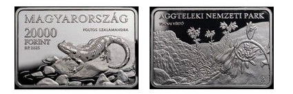 20000 forint (Aggtelek National Park)