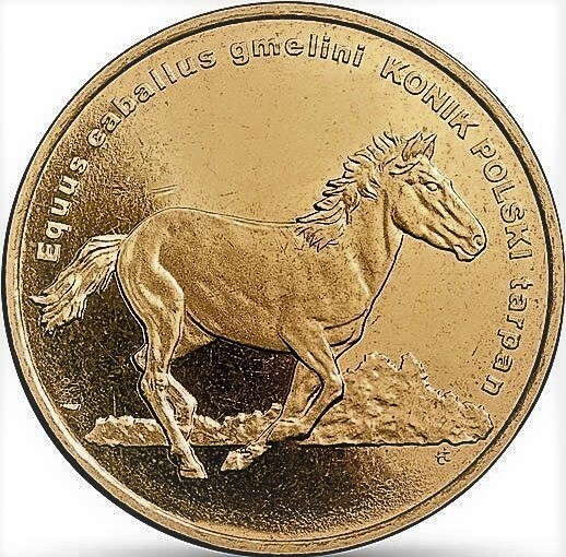 2 zlote (Polish horse Konik)