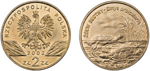 2 zlote (Żółw błotny)