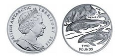 2 pounds (Hourglass dolphin)