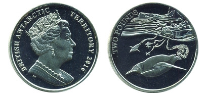 2 pounds (The emperor penguin)