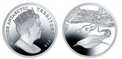 2 pounds (The emperor penguin)