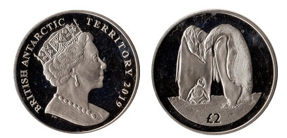 2 pounds (Emperor penguin)