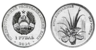 1 ruble (Iris pontica)