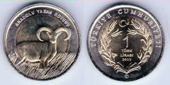 1 lira (Oveja salvaje de Anatolia)