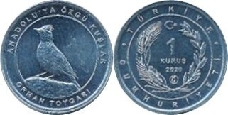 1 kuruş (Lark totovia)