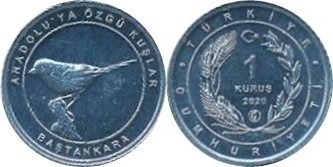 1 kuruş (Blue Tit)