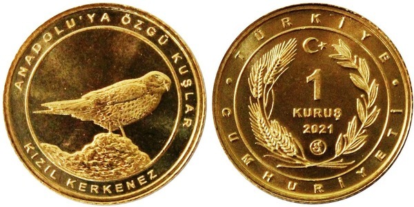 1 kuruş (Kestrel)