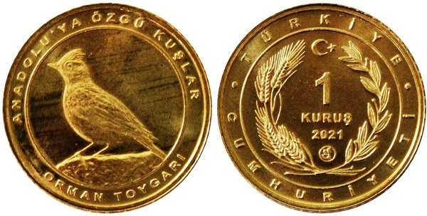 1 kuruş (Lark totovia)