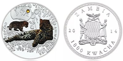 1000 kwacha (Endangered animals: Amur leopard)